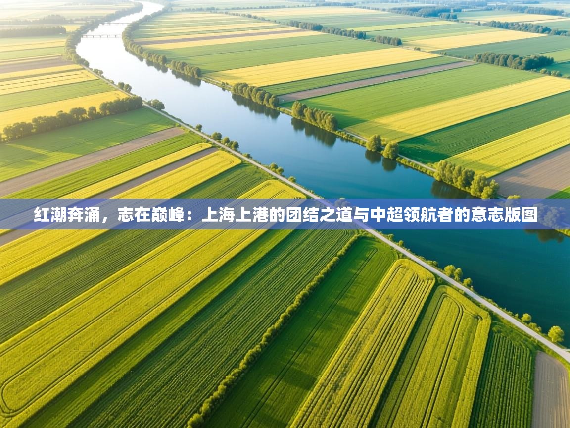 红潮奔涌，志在巅峰：上海上港的团结之道与中超领航者的意志版图  第1张