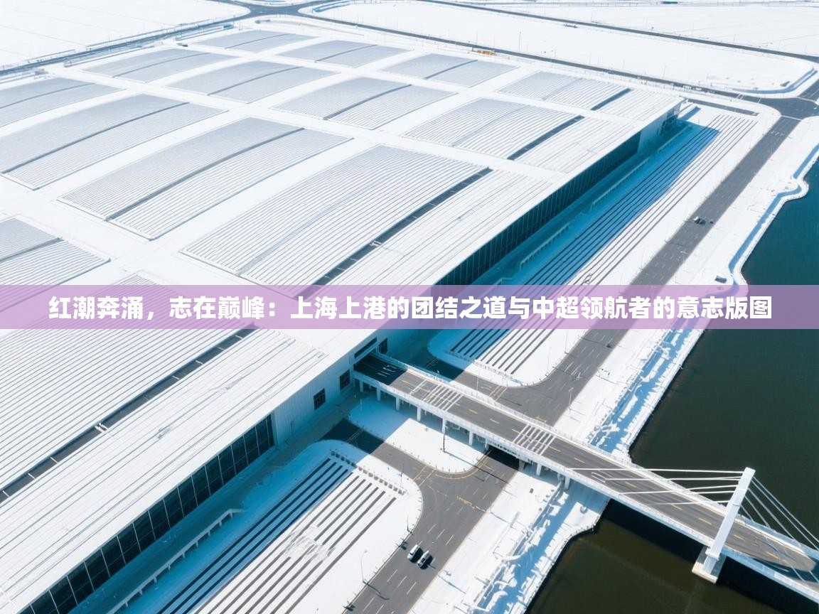 红潮奔涌，志在巅峰：上海上港的团结之道与中超领航者的意志版图  第2张