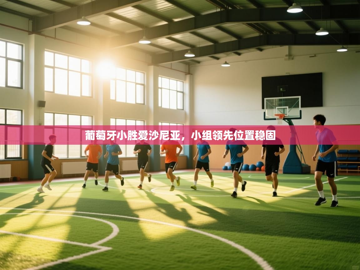 葡萄牙小胜爱沙尼亚,小组领先位置稳固 第1张