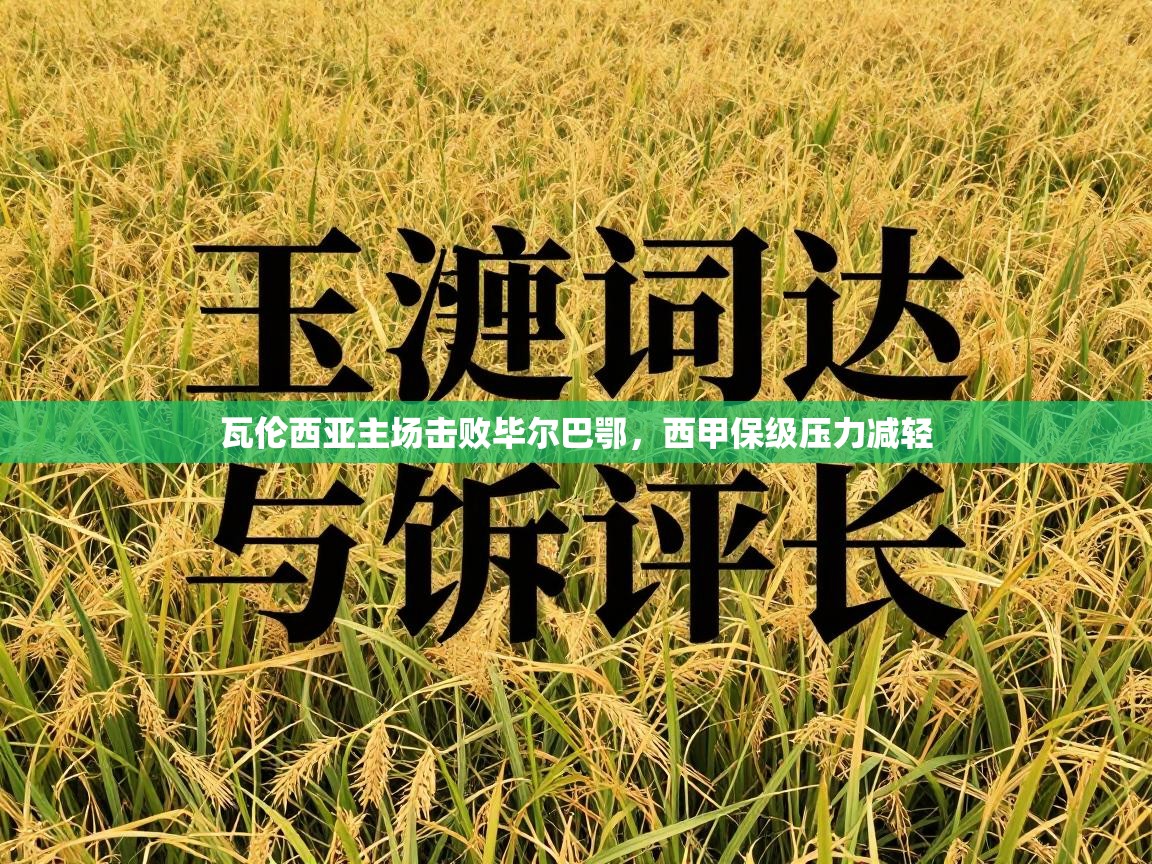 瓦伦西亚主场击败毕尔巴鄂,西甲保级压力减轻 第1张